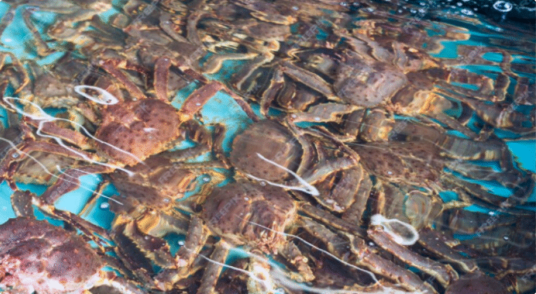 Read more about the article 商品資訊輪播圖（三）