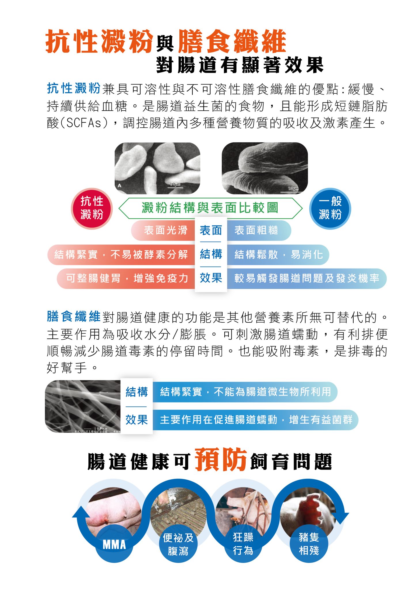安腸纖_頁面_2