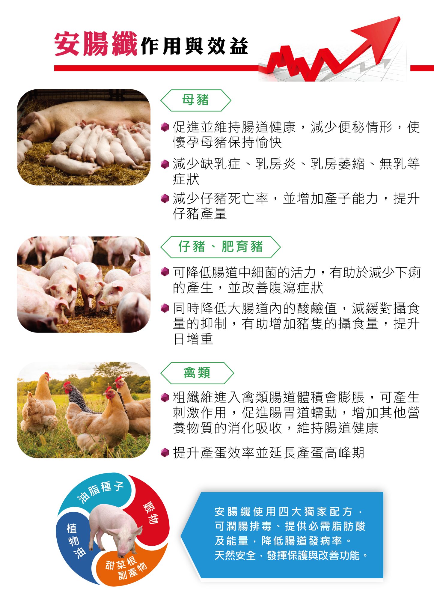 安腸纖_頁面_3