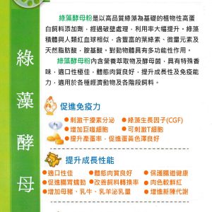 綠藻酵母粉