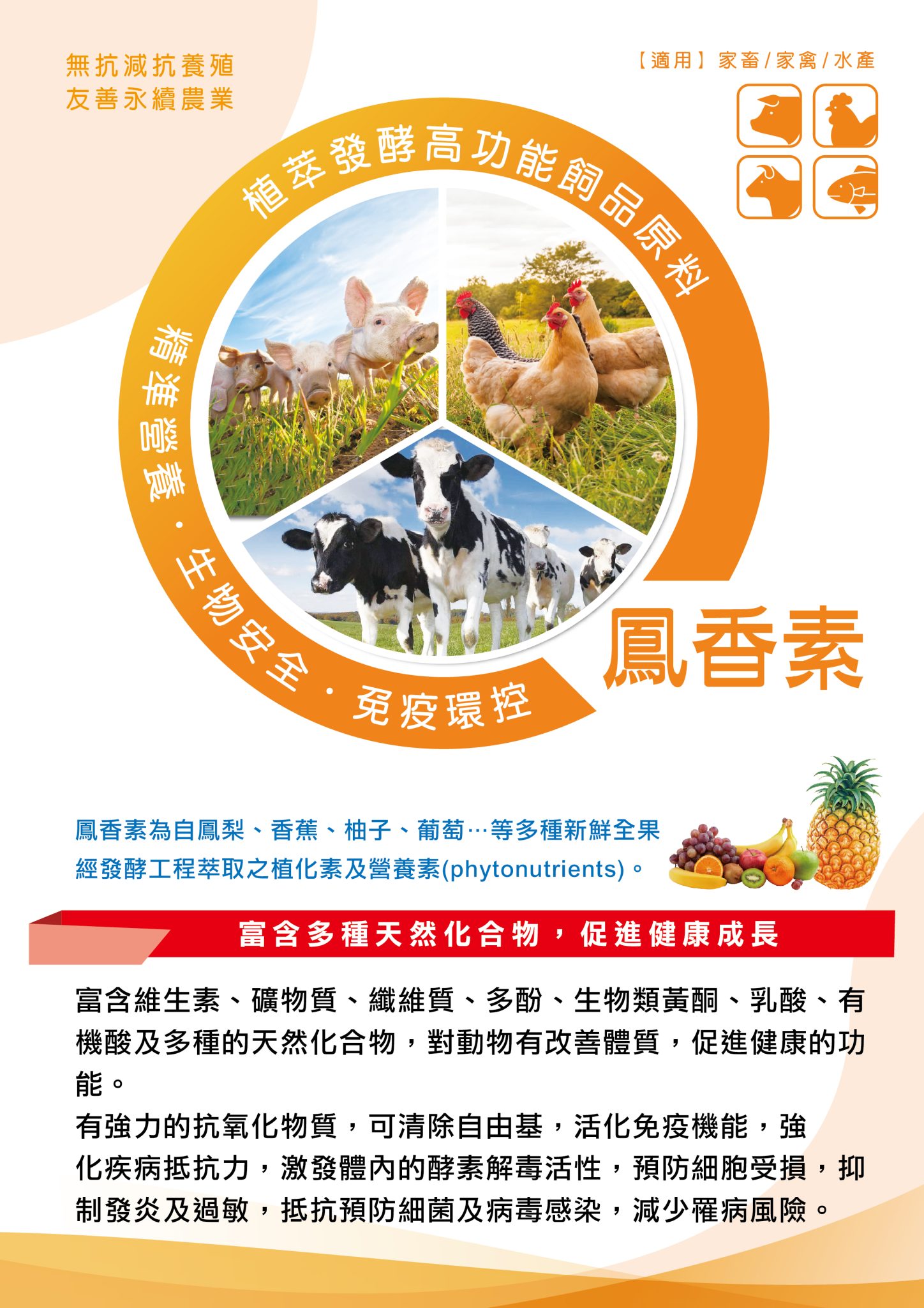 鳳香素_頁面_1